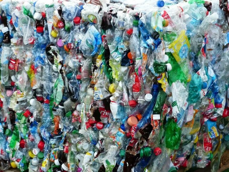 Polyethylene Terephthalate (PET) Image