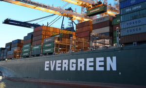 2021 Supply Chain Chaos – Pulp,Packaging, and F...