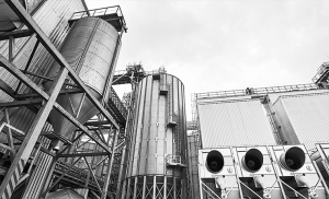 How China is Killing Another American Industry